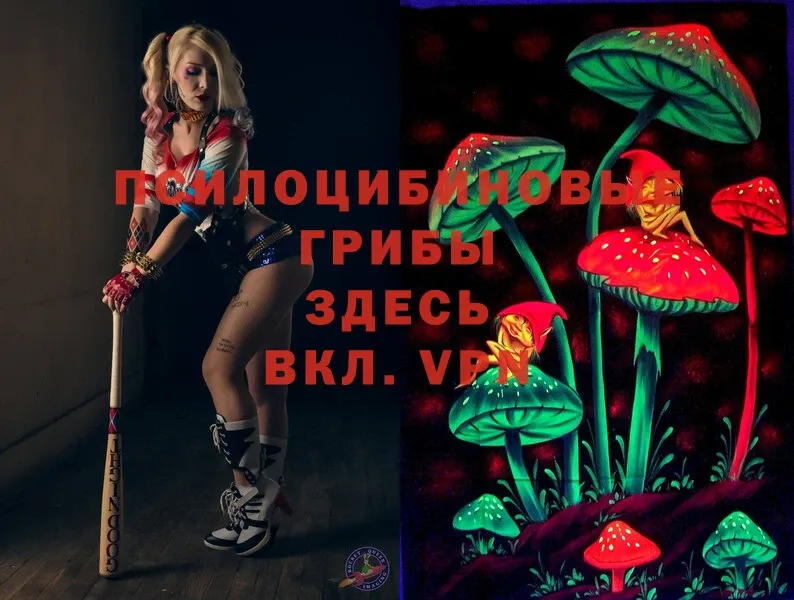 Галлюциногенные грибы MAGIC MUSHROOMS  Беломорск 